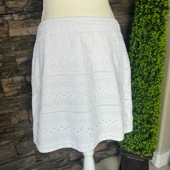 GAP Elegant White Eyelet A-Line Skirt - Picture 1 of 14